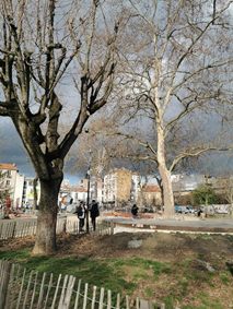 Vue d'ensemble de la Place de la République